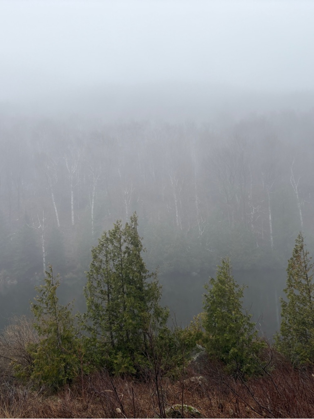 Meet your Posher, Jinnie